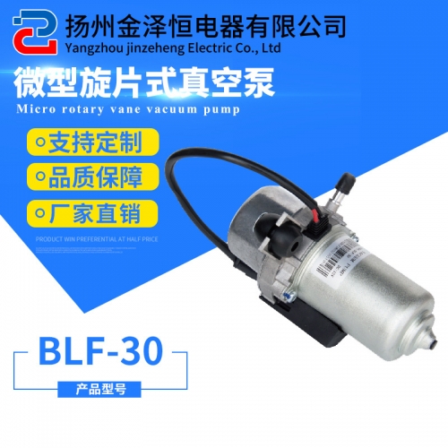 微型旋片式真空泵BLF-30